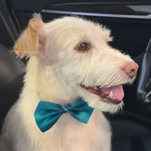 Meet your Posher, Jodi